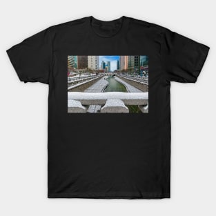 Cheonggyecheon Stream T-Shirt